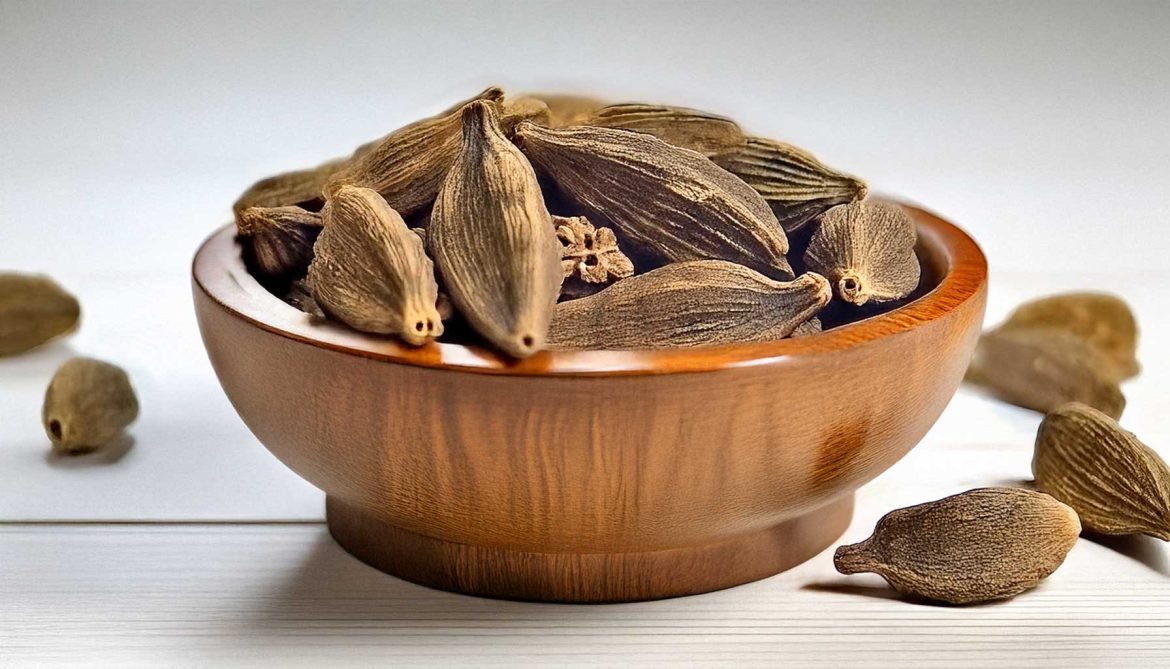 The Smoky Power of Black Cardamom in Cooking